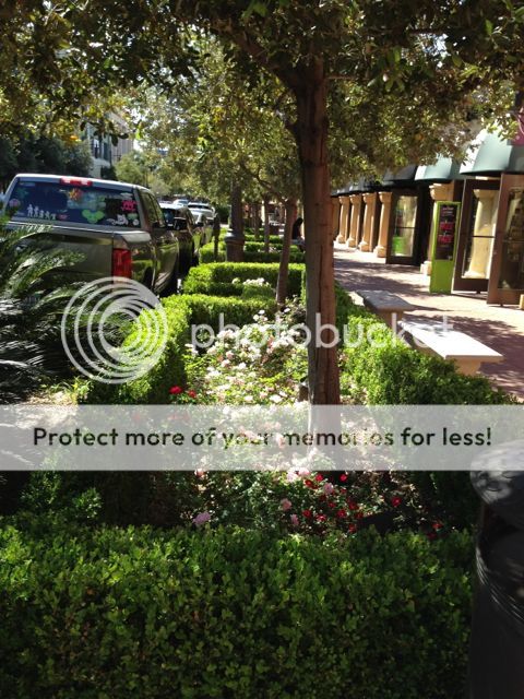 photo IMG_1761_zps6e4e2cb0.jpg